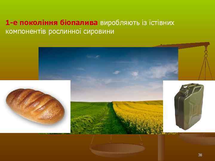 1 -е покоління біопалива виробляють із їстівних компонентів рослинної сировини 38 