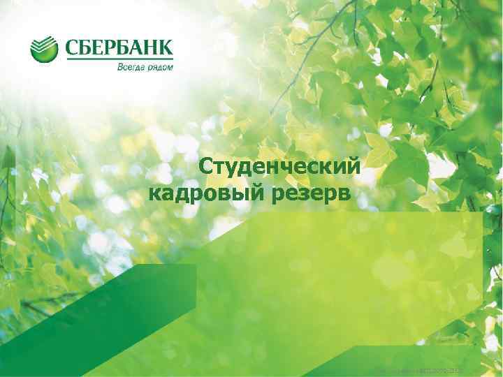   Студенческий кадровый резерв 