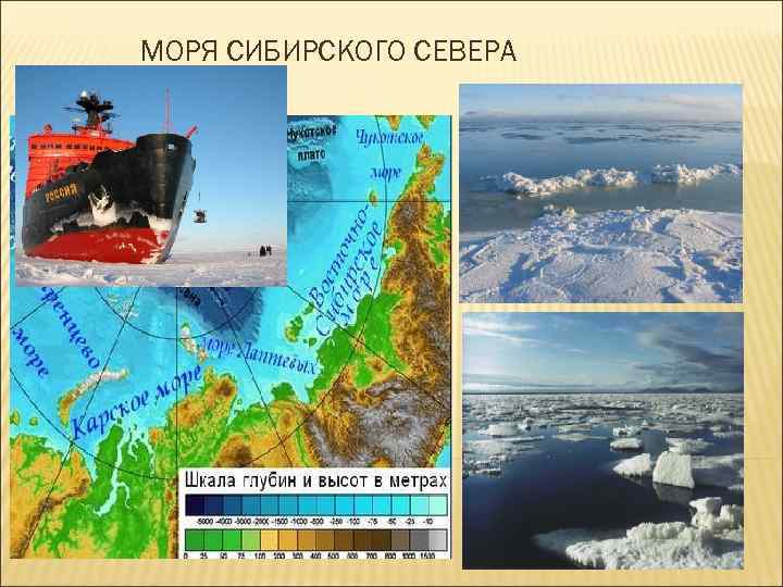 МОРЯ СИБИРСКОГО СЕВЕРА 