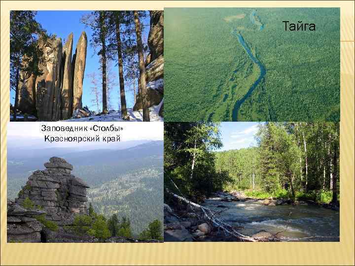      Тайга Заповедник «Столбы»    Тайга Красноярский край