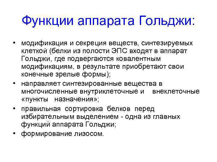  Функции аппарата Гольджи:  • модификация и секреция веществ, синтезируемых  клеткой (белки