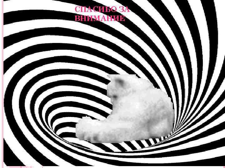 СПАСИБО ЗА ВНИМАНИЕ 