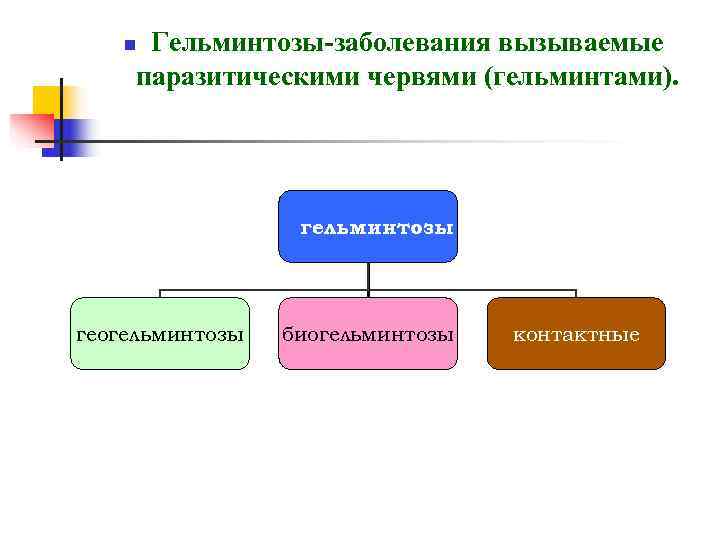   n. Гельминтозы-заболевания вызываемые паразитическими червями (гельминтами).    гельминтозы геогельминтозы 