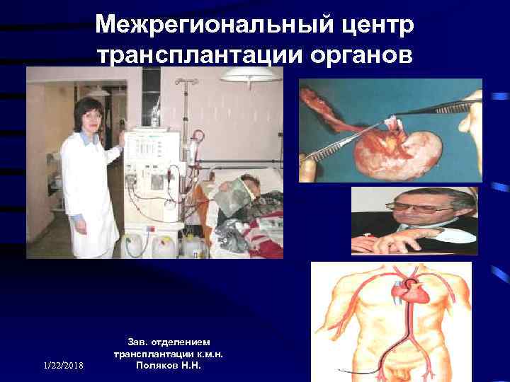  Межрегиональный центр   трансплантации органов    Зав. отделением 