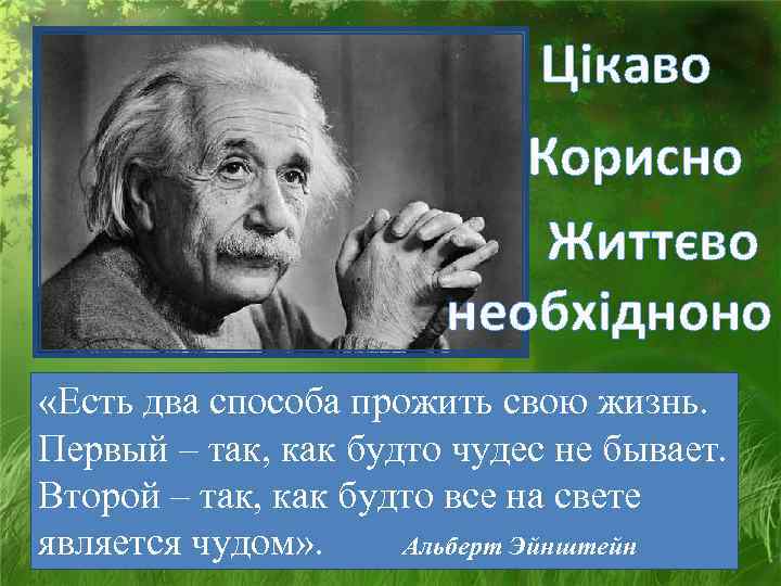      Цікаво      Корисно  