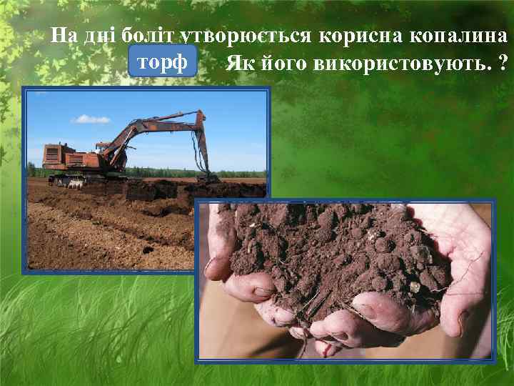 На дні боліт утворюється корисна копалина   торф Як його використовують. ? 