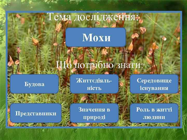   Тема дослідження:    Мохи   Що потрібно знати: 