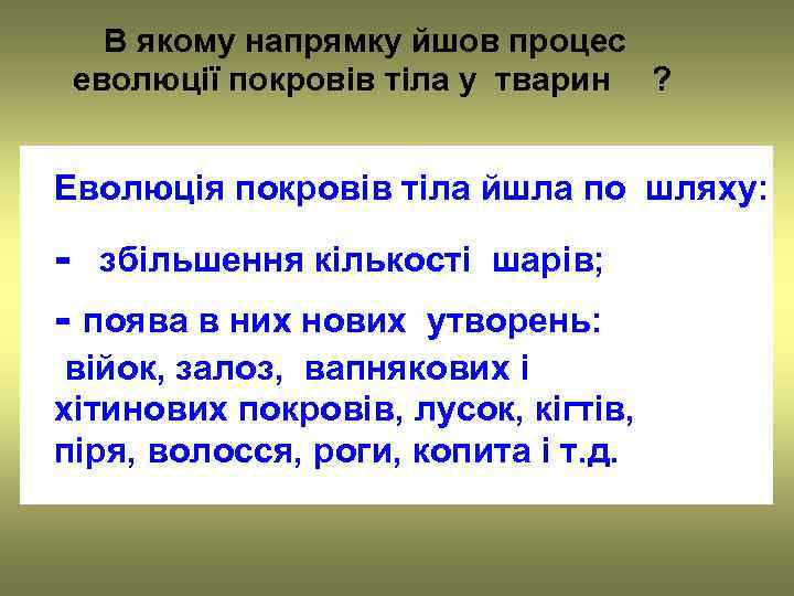   В якому напрямку йшов процес еволюції покровів тіла у тварин ? 