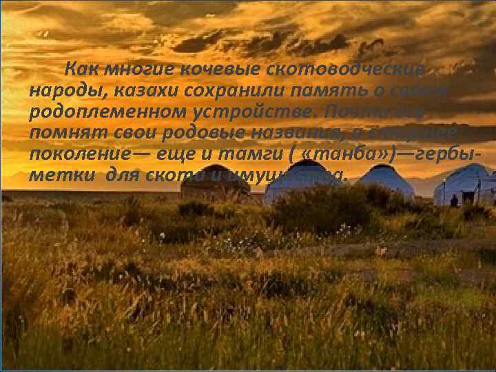 Как многие кочевые скотоводческие народы, казахи сохранили память о своем родоплеменном устройстве. Почти все