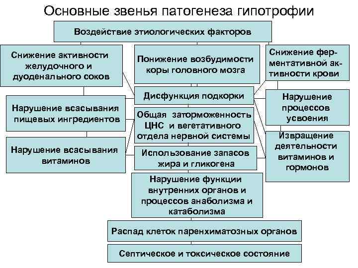  Основные звенья патогенеза гипотрофии   Воздействие этиологических факторов Снижение активности  
