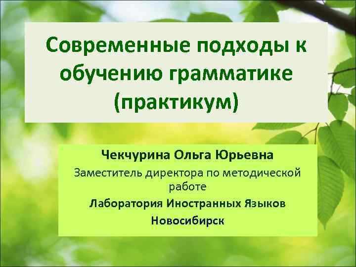 Coвременные подходы к  обучению грамматике (практикум)  Чекчурина Ольга Юрьевна  Заместитель директора