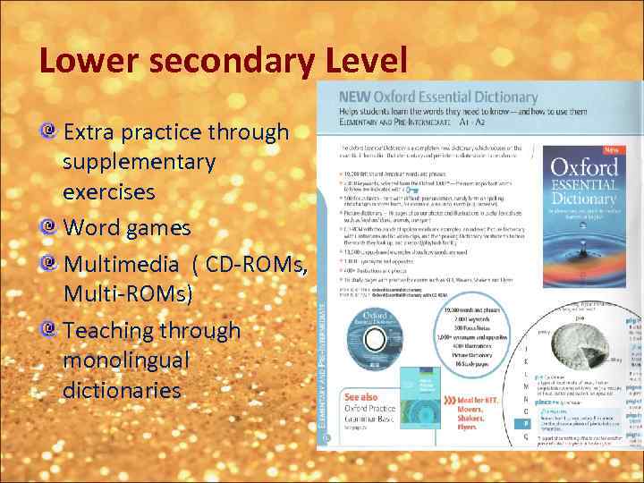 Lower secondary Level Extra practice through supplementary exercises Word games Multimedia ( CD-ROMs, Multi-ROMs)