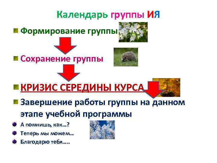   Календарь группы ИЯ Формирование группы  Сохранение группы  КРИЗИС СЕРЕДИНЫ КУРСА