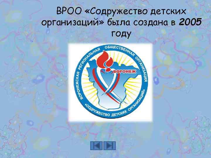ВРОО «Содружество детских организаций» была создана в 2005 году 