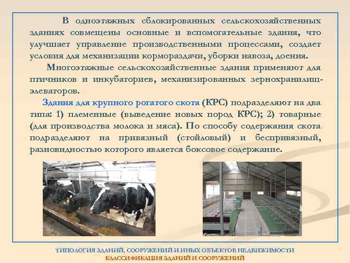 В одноэтажных сблокированных сельскохозяйственных зданиях совмещены основные и вспомогательные здания, что улучшает управление производственными