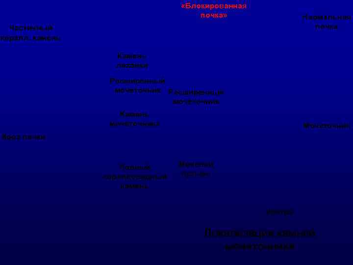        «Блокированная      