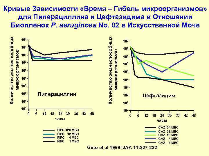Кривые Зависимости «Время – Гибель микроорганизмов» для Пиперациллина и Цефтазидима в Отношении  Биопленок
