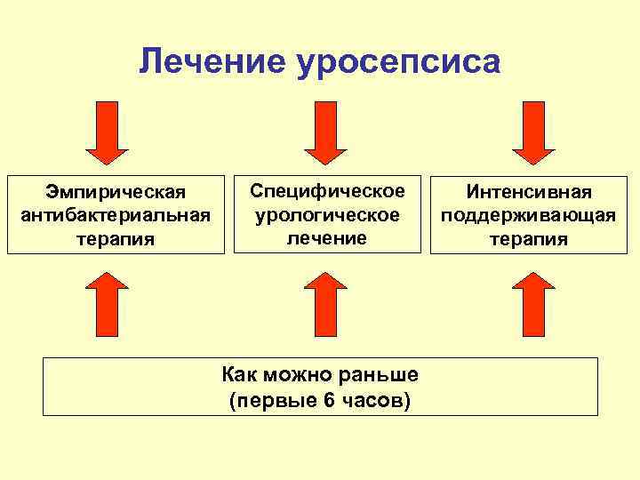    Лечение уросепсиса Эмпирическая  Специфическое  Интенсивная антибактериальная урологическое поддерживающая терапия
