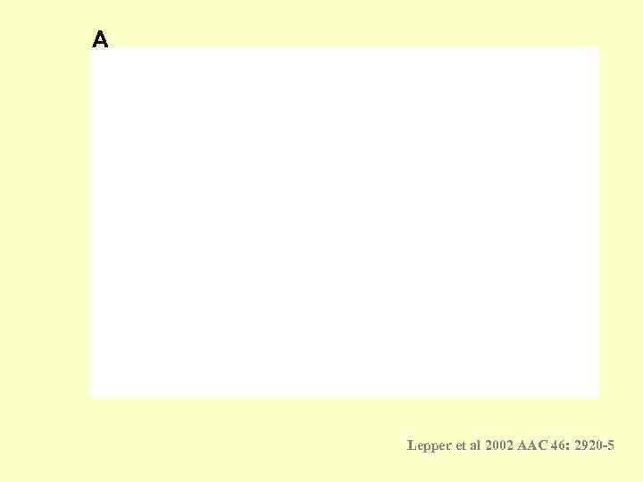 A   Lepper et al 2002 AAC 46: 2920 -5 
