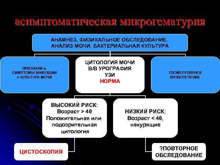 асимптоматическая микрогематурия    АНАМНЕЗ, ФИЗИКАЛЬНОЕ ОБСЛЕДОВАНИЕ,    АНАЛИЗ МОЧИ, БАКТЕРИАЛЬНАЯ
