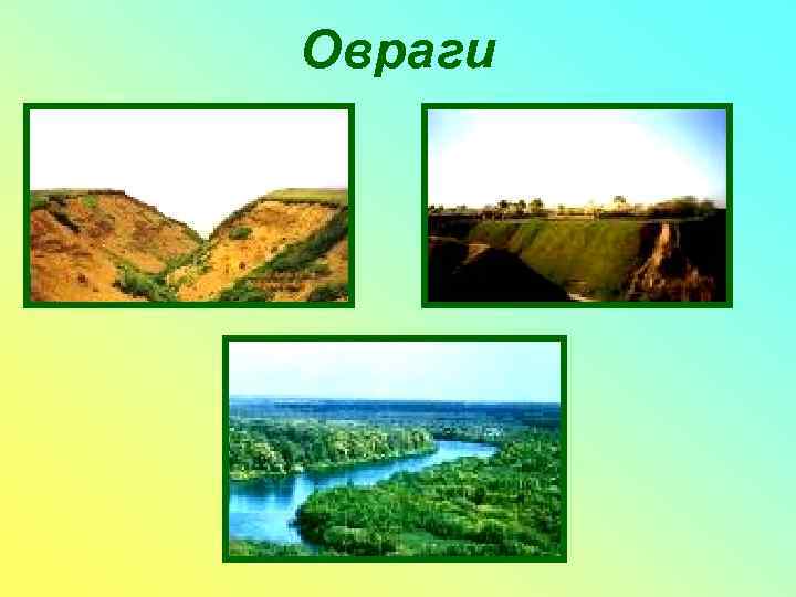 Овраги 
