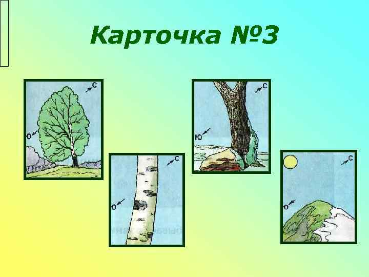 Карточка № 3 