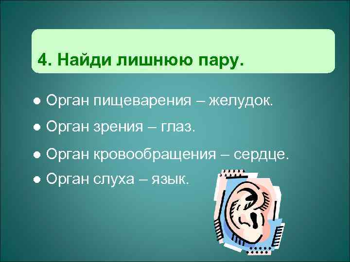 4. Найди лишнюю пару.  l  Орган пищеварения – желудок. l  Орган