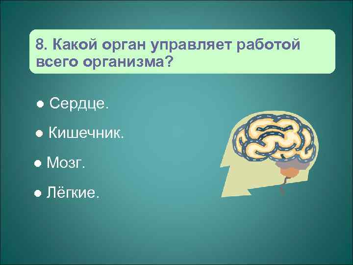 8. Какой орган управляет работой всего организма?  l  Сердце. l  Кишечник.