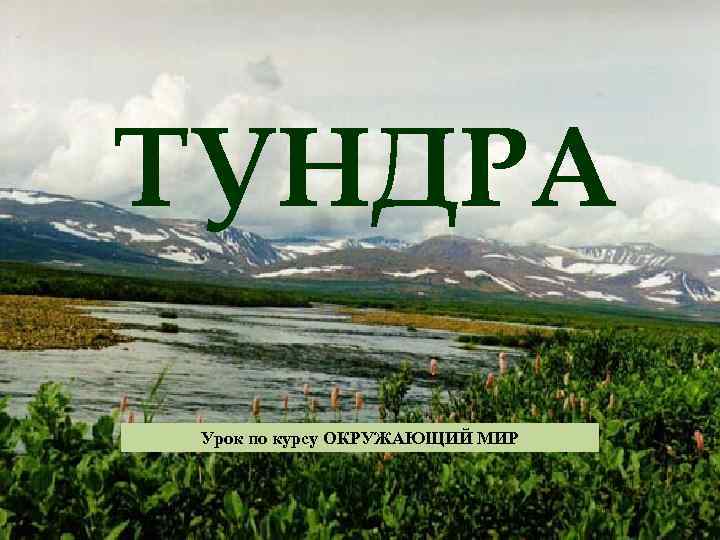 ТУНДРА  Урок по курсу ОКРУЖАЮЩИЙ МИР 