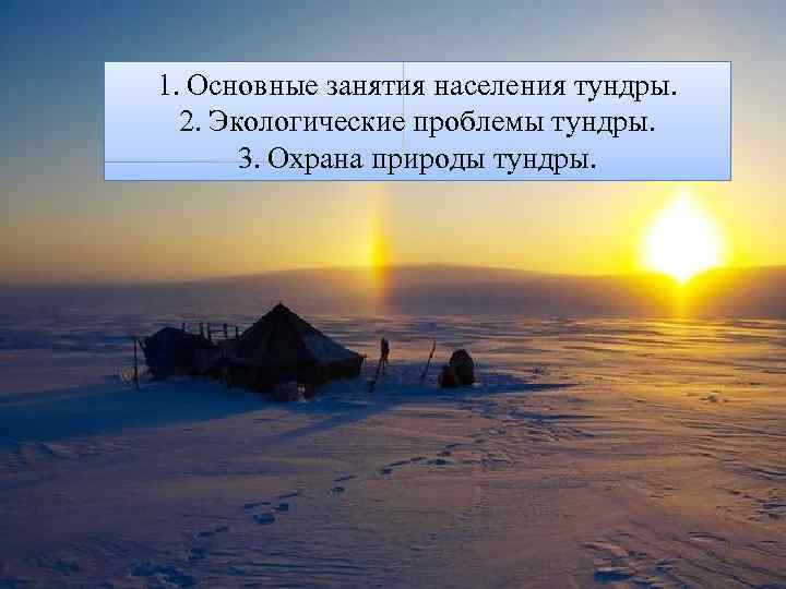 1. Основные занятия населения тундры.  2. Экологические проблемы тундры.   3. Охрана