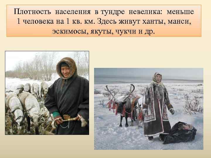 Плотность населения в тундре невелика: меньше 1 человека на 1 кв. км. Здесь живут