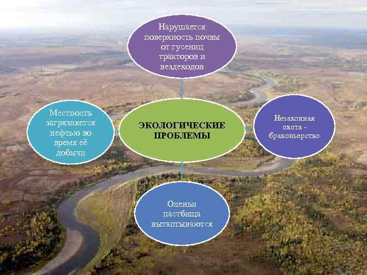    Нарушается    поверхность почвы    от гусениц