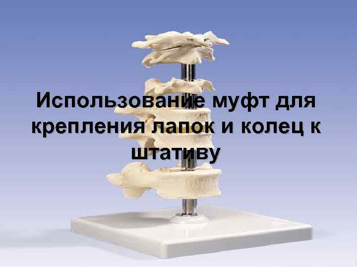 Использование муфт для крепления лапок и колец к штативу 