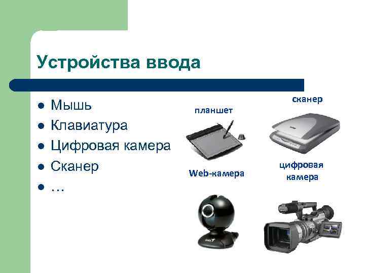 Устройства ввода       сканер l  Мышь  