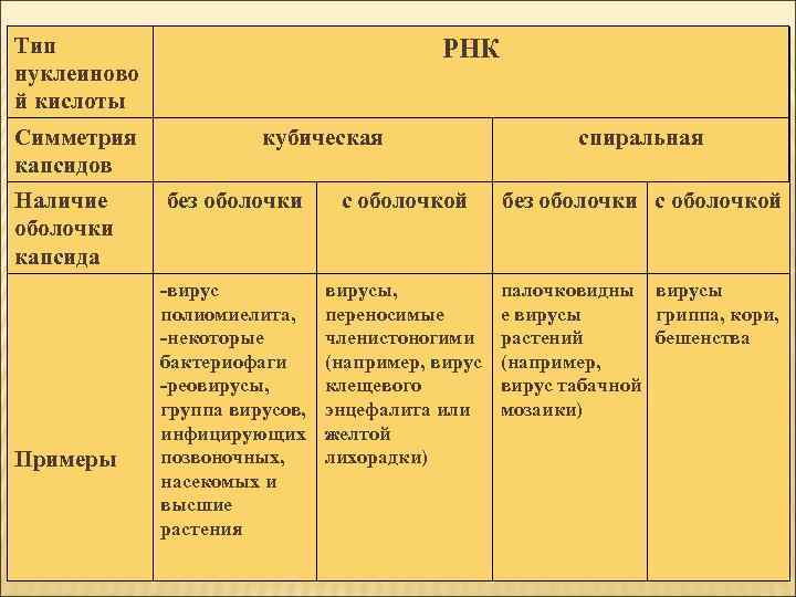 Тип нуклеиново й кислоты Симметрия капсидов Наличие оболочки капсида Примеры РНК кубическая спиральная без