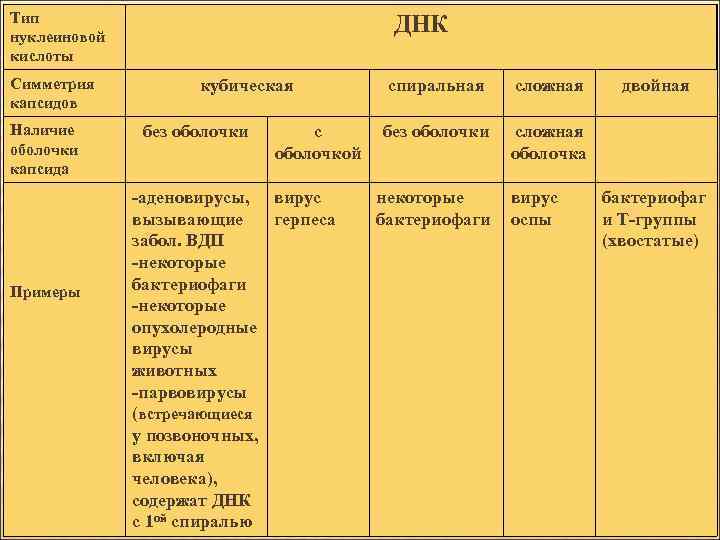 Тип нуклеиновой кислоты Симметрия капсидов Наличие оболочки капсида Примеры ДНК кубическая без оболочки с