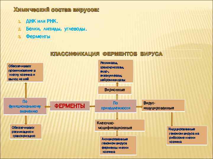 Химический состав вирусов: 1. 2. 3. ДНК или РНК. Белки, липиды, углеводы. Ферменты КЛАССИФИКАЦИЯ