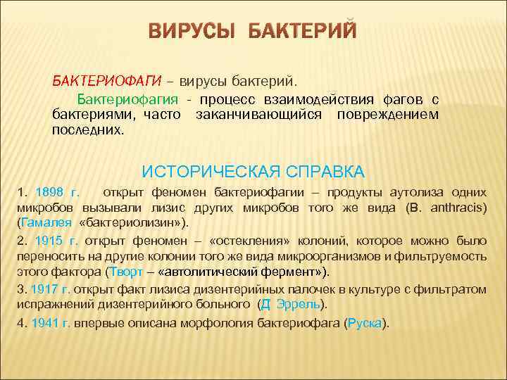 ВИРУСЫ БАКТЕРИЙ БАКТЕРИОФАГИ – вирусы бактерий. Бактериофагия - процесс взаимодействия фагов с бактериями, часто
