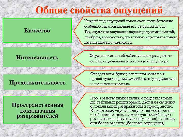   Общие свойства ощущений     Каждый вид ощущений имеет свои