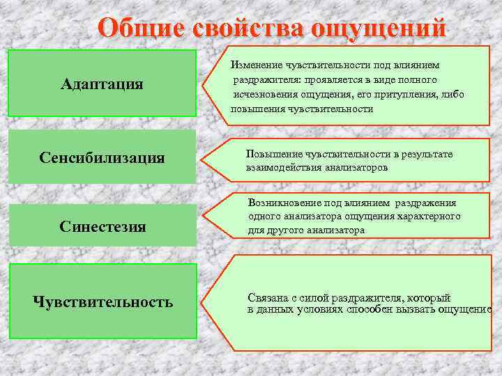   Общие свойства ощущений    Изменение чувствительности под влиянием  