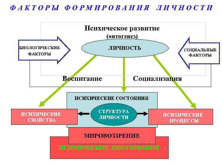 Схема процесса развития ребенка