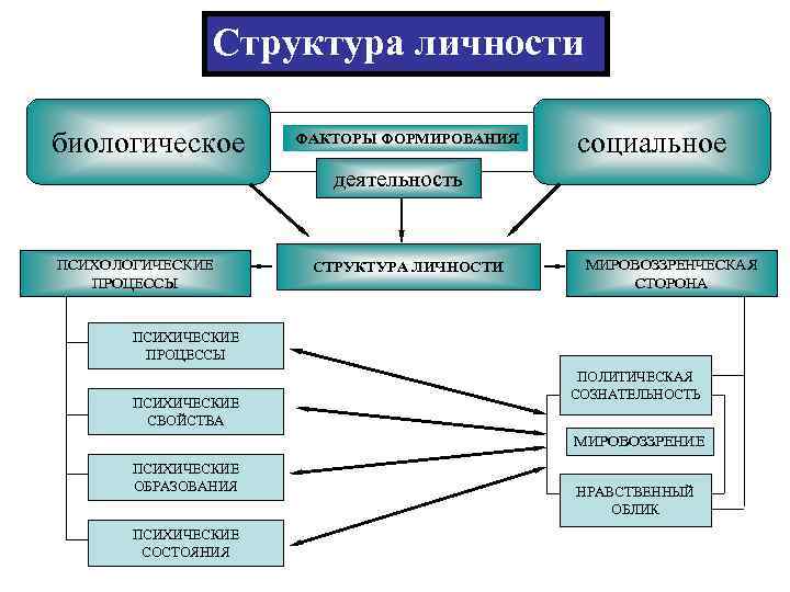 Психологическая структура и формирование личности. Биологическое и социальное в структуре личности. Структура становления личности. Биологические и социальные факторы формирования личности. Соотношение биологического и социального в структуре личности.