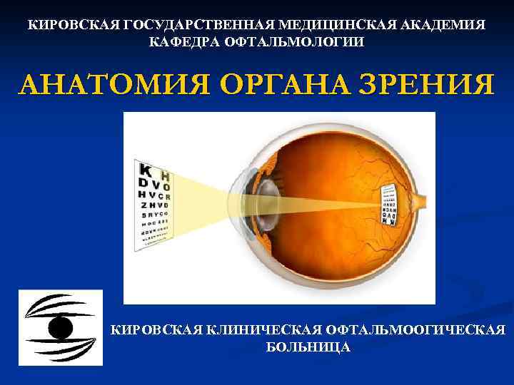 КИРОВСКАЯ ГОСУДАРСТВЕННАЯ МЕДИЦИНСКАЯ АКАДЕМИЯ КАФЕДРА ОФТАЛЬМОЛОГИИ АНАТОМИЯ ОРГАНА ЗРЕНИЯ КИРОВСКАЯ КЛИНИЧЕСКАЯ ОФТАЛЬМООГИЧЕСКАЯ БОЛЬНИЦА 