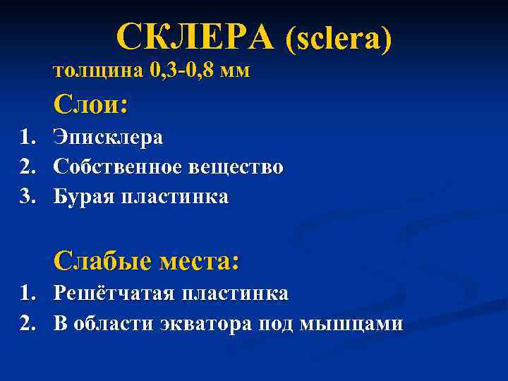 CКЛЕРА (sclera) толщина 0, 3 -0, 8 мм Слои: 1. 2. 3. Эписклера Собственное