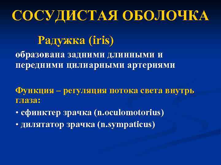 CОСУДИСТАЯ ОБОЛОЧКА Радужка (iris) образована задними длинными и передними цилиарными артериями Функция – регуляция