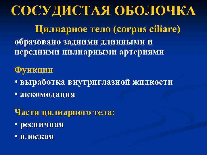 CОСУДИСТАЯ ОБОЛОЧКА Цилиарное тело (corpus ciliare) образовано задними длинными и передними цилиарными артериями Функции