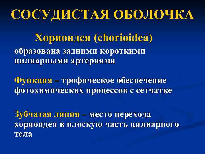 CОСУДИСТАЯ ОБОЛОЧКА Хориоидея (chorioidea) образована задними короткими цилиарными артериями Функция – трофическое обеспечение фотохимических