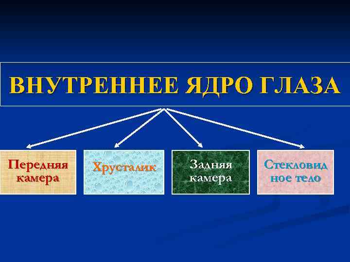 ВНУТРЕННЕЕ ЯДРО ГЛАЗА Передняя камера Хрусталик Задняя камера Стекловид ное тело 