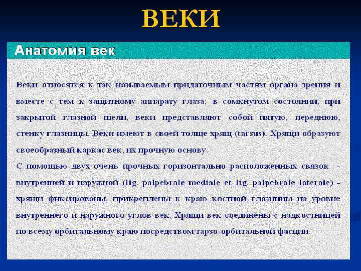 ВЕКИ 