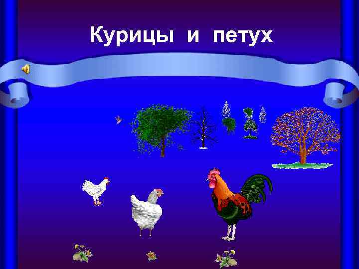 Курицы и петух 